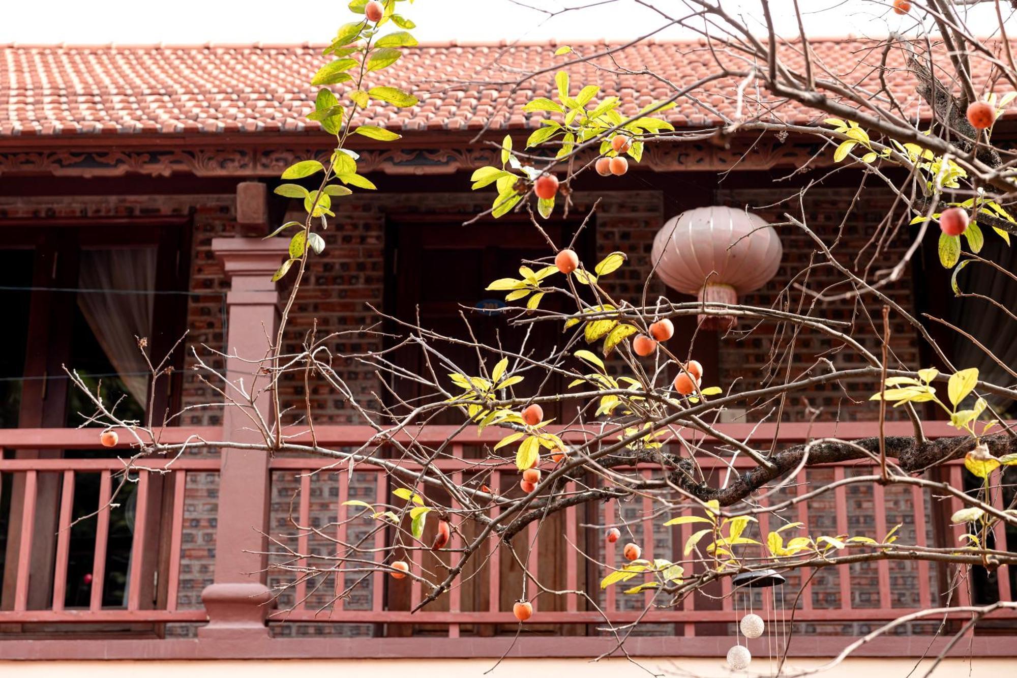 Tam Coc Ngoc Linh Bungalow Ninh Binh Exterior foto